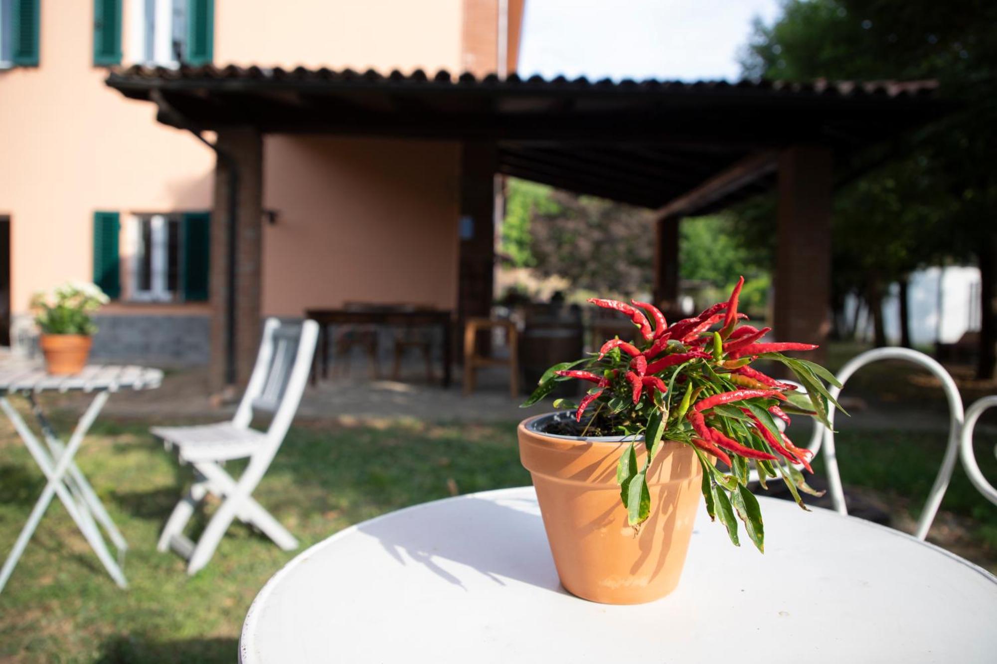 Country Boutique Paradiso Valmadonna Exterior foto